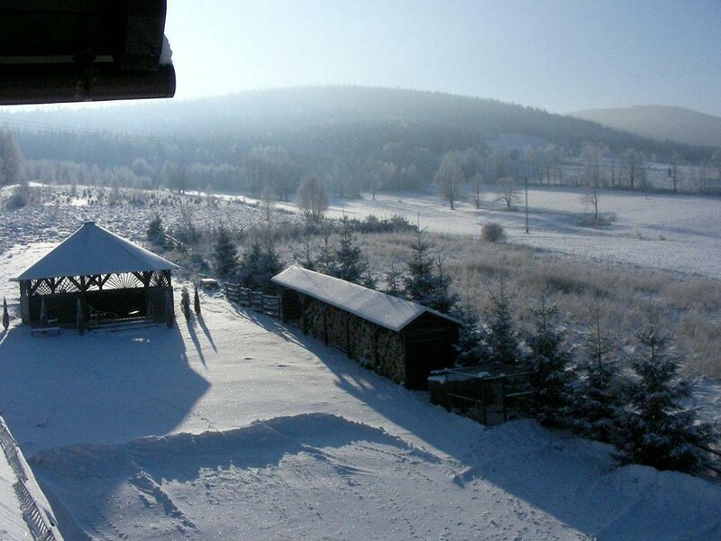 Widok z okna na altanę