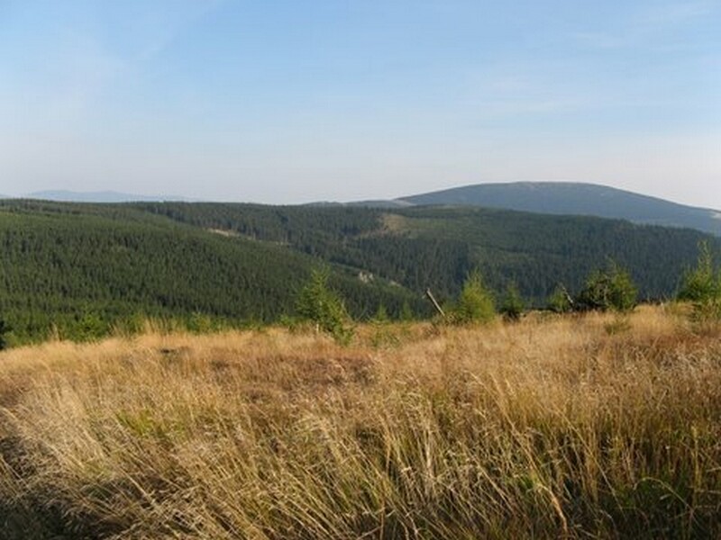 Łąka za pensjonatem Monte Negro